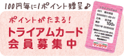 �ȥ饤�����५���ɲ���罸��