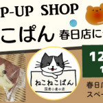 【春日店】ねこねこぱんがやってくる