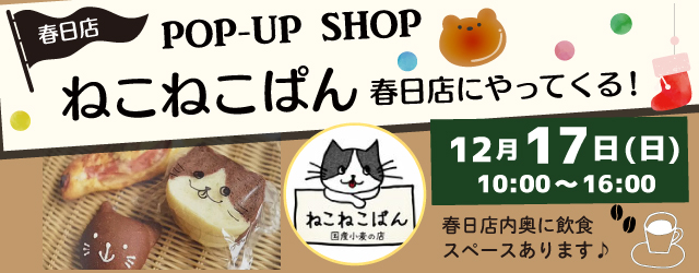 【サンカクヤ春日店】ねこねこぱんがやってくる