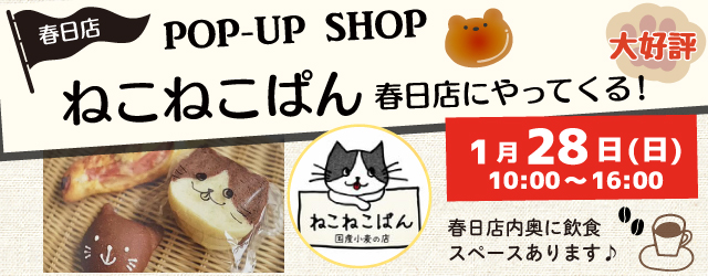 【サンカクヤ春日店】ねこねこぱんがやってくる