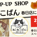 【春日店】ねこねこぱんがやってくる