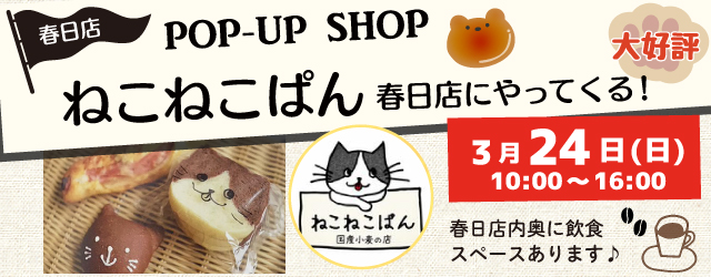 【サンカクヤ春日店】ねこねこぱんがやってくる