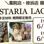 【薬院店・姪浜店】WISTARIA  LACE 手芸材料期間限定販売