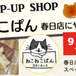 【春日店】ねこねこぱんがやってくる