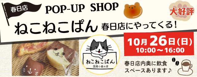 【サンカクヤ春日店】ねこねこぱんがやってくる