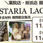 【薬院店・姪浜店】WISTARIA  LACE 手芸材料期間限定販売