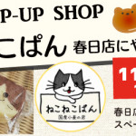【春日店】ねこねこぱんがやってくる