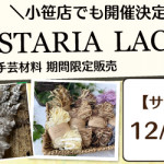 【小笹店】WISTARIA  LACE 手芸材料期間限定販売