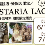 【薬院店・姪浜店】WISTARIA  LACE 手芸材料期間限定販売