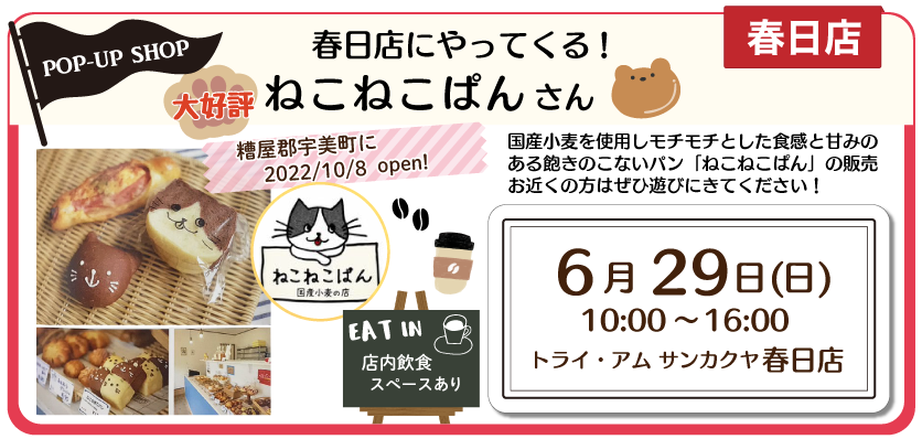 春日ねこねこぱん