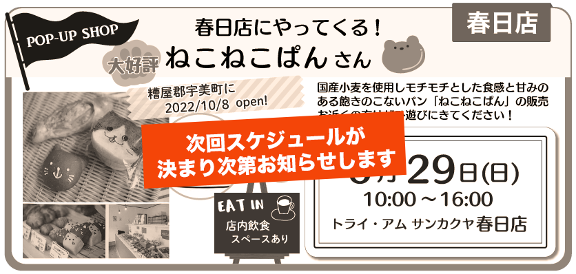 春日ねこねこぱん