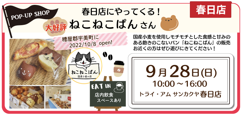 春日ねこねこぱん