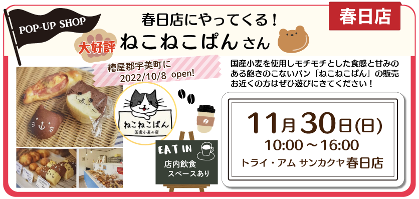 春日ねこねこぱん